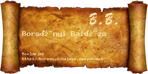 Borsányi Balázs névjegykártya